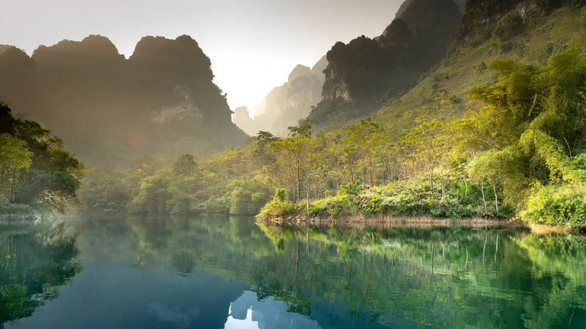 智能系统绿色